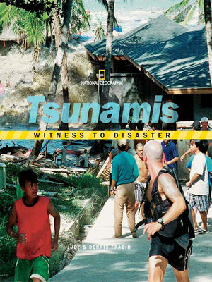 Witness to Disaster - ebook